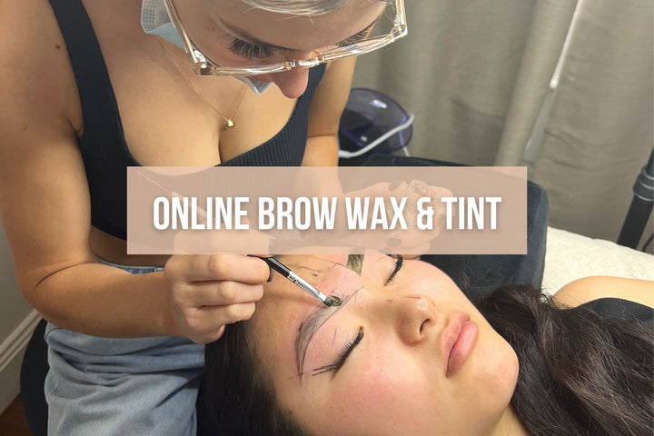 Brow Wax & Tint Online Course